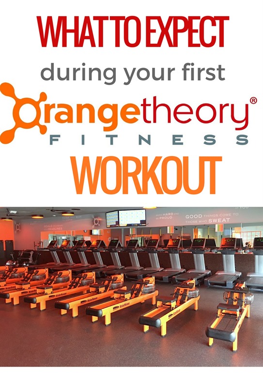 Ready to dive into your first Orangetheory Fitness class