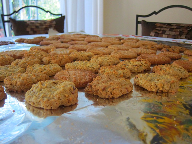 https://www.pbfingers.com/wp-content/uploads/2010/11/cookies004.jpg