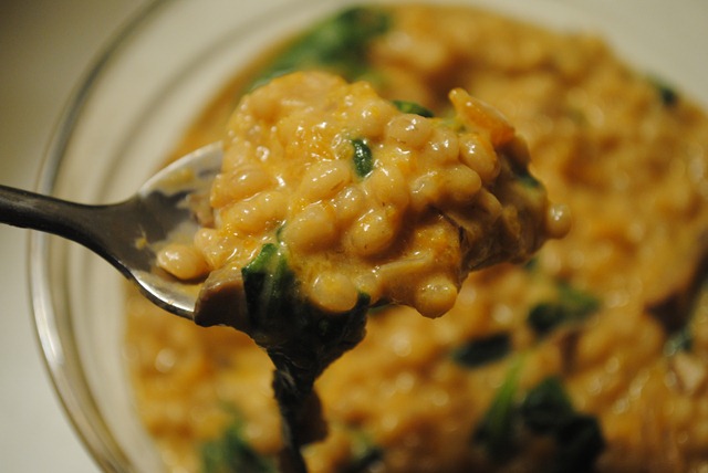 goat-cheese-and-butternut-squash-barley-risotto-peanut-butter-fingers