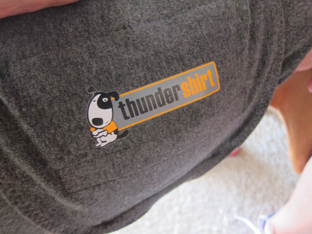 thundershirt reddit