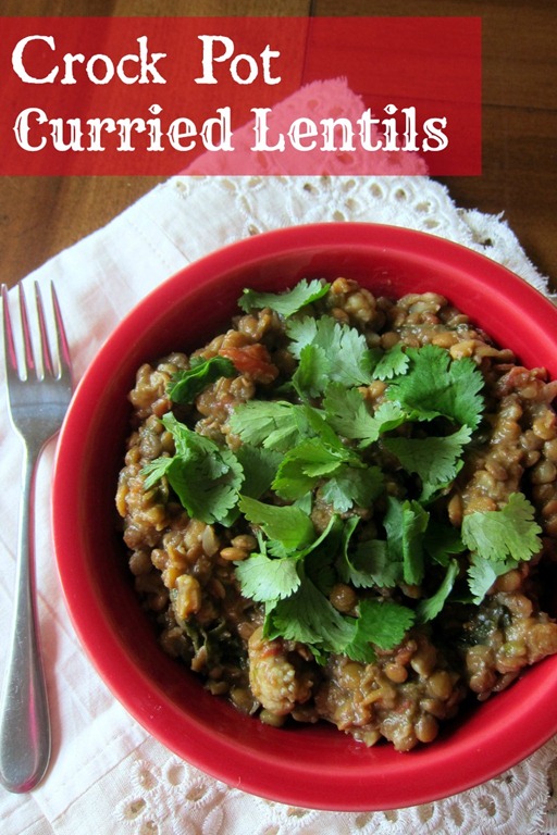 Crock Pot Curried Lentils - Peanut Butter Fingers