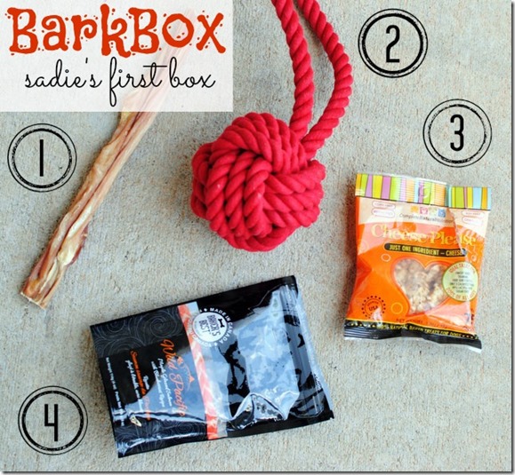 Bully barkbox outlet