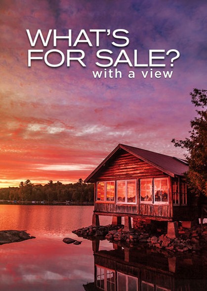 whats for sale with a view netflix