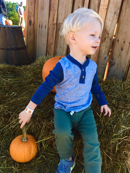 Patterson Farm Pumpkins