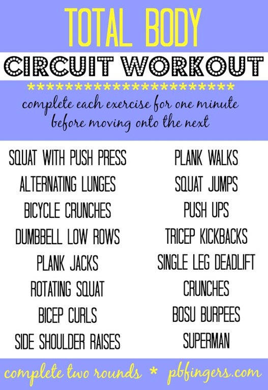 Full Body Circuit Workout
