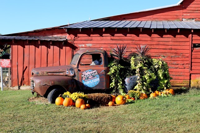 patterson farm