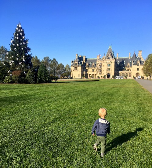 Biltmore in November