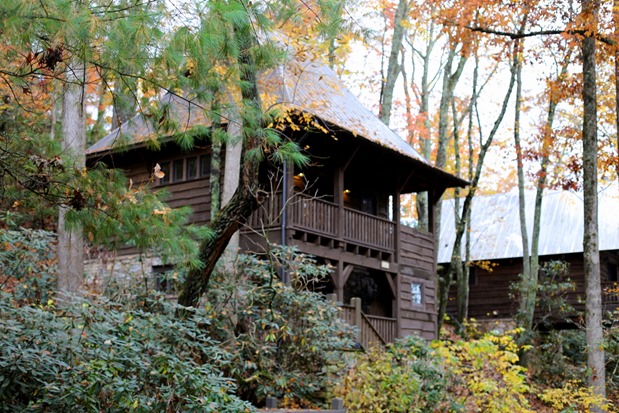 Cardinal's Cove Village at Cheshire Black Mountain