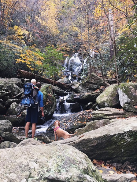 catawba falls hike