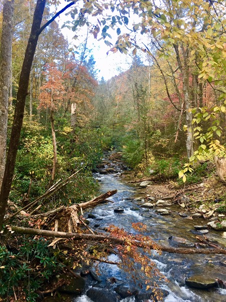 catawba falls hike in the fall asheville