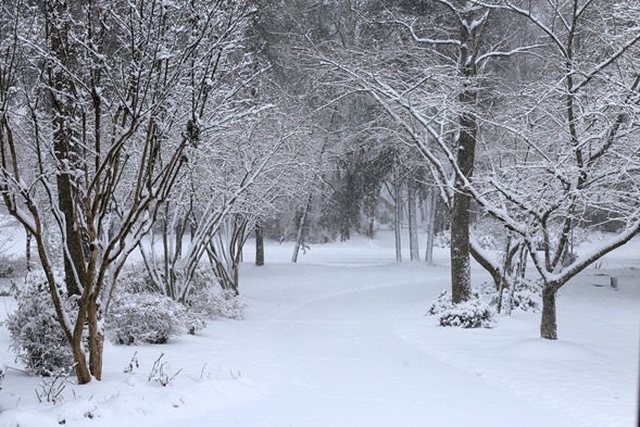 Charlotte NC Snow