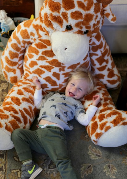 Giant Giraffe Toy