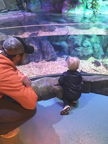 concord nc aquarium