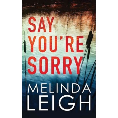 say you're sorry book