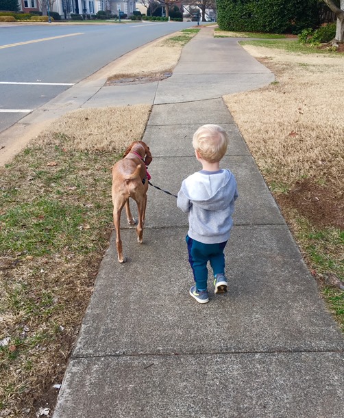 Chase and Sadie Walk