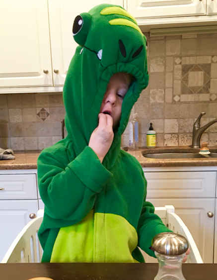 toddler dinosaur costume