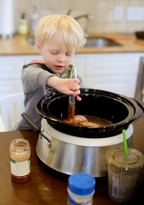 Crock Pot Chicken Toddler