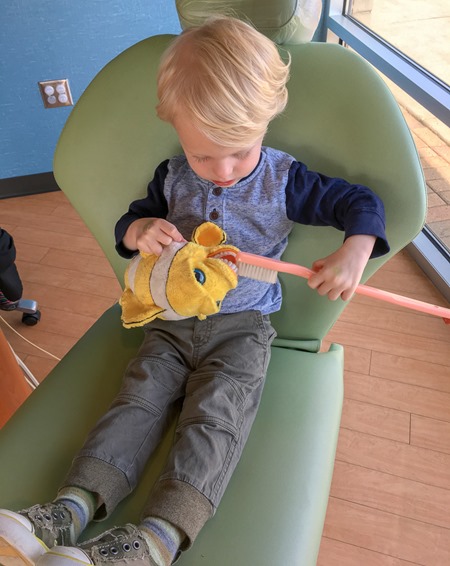 Chase at Dentist