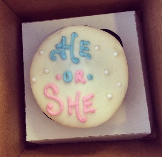 He or She Gender Reveal Cupcake