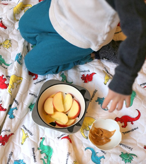 Indoor Picnic