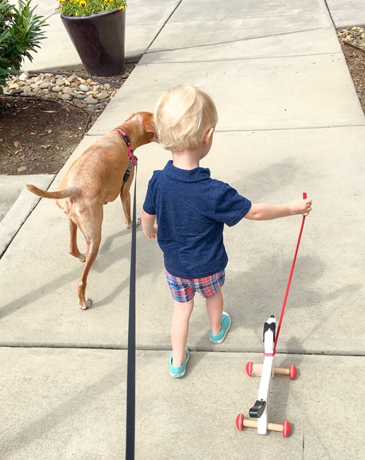 Chase and Doggie and Sadie