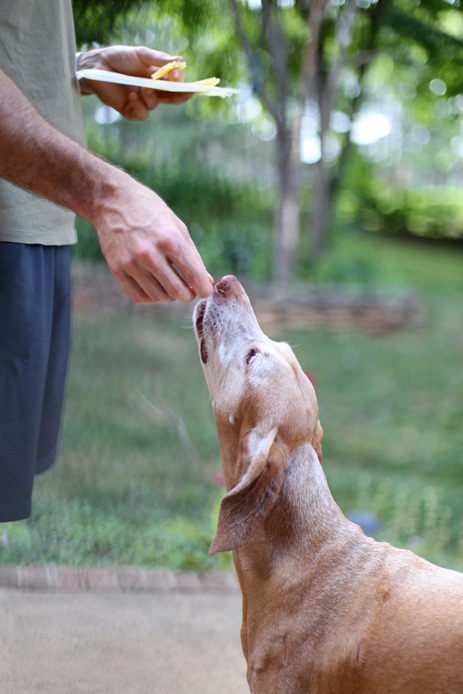 Sadie Treats