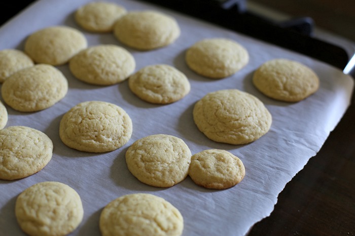 sugar cookies