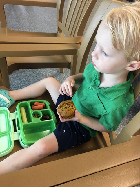 toddler bento box lunch