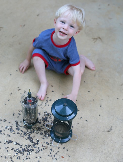 toddler bird feeder