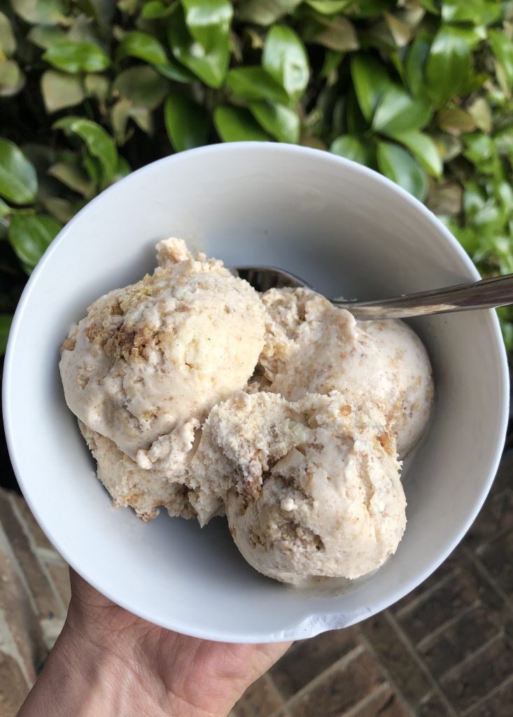 Cinnamon Oatmeal Cookie Ice Cream