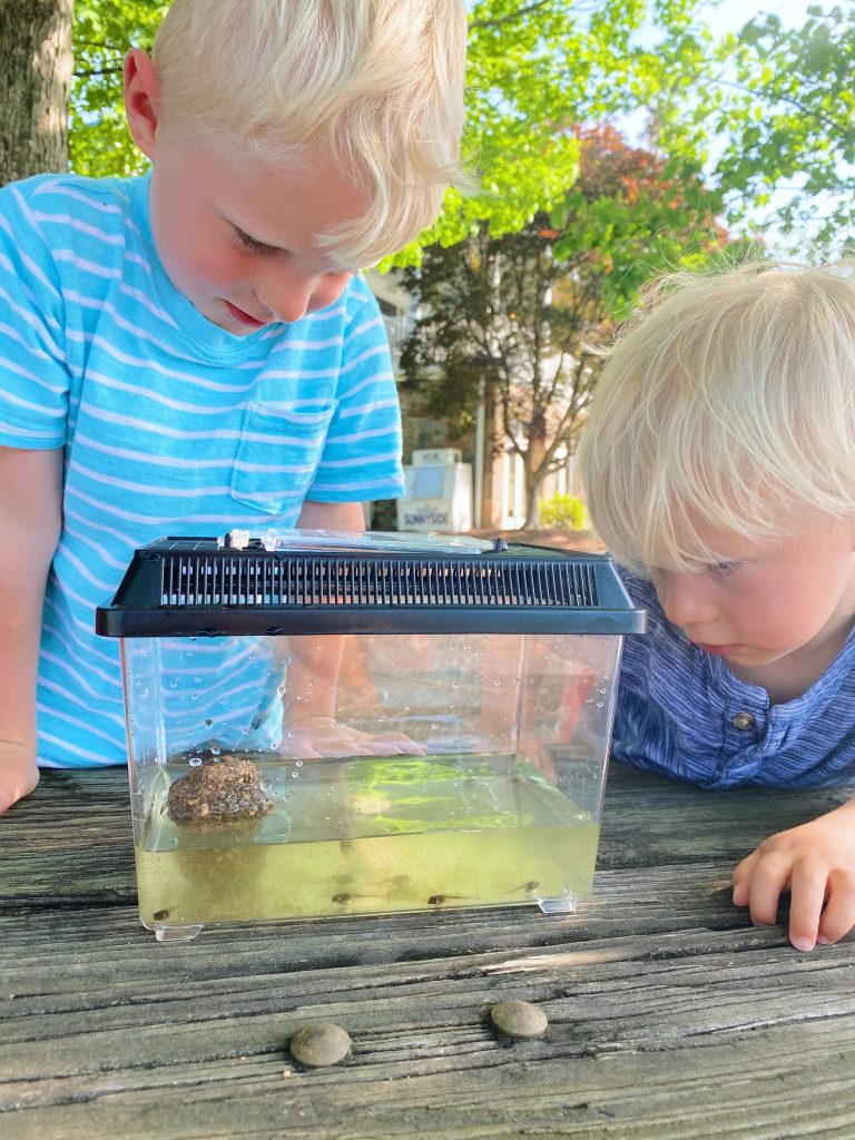 chase ryder tadpoles