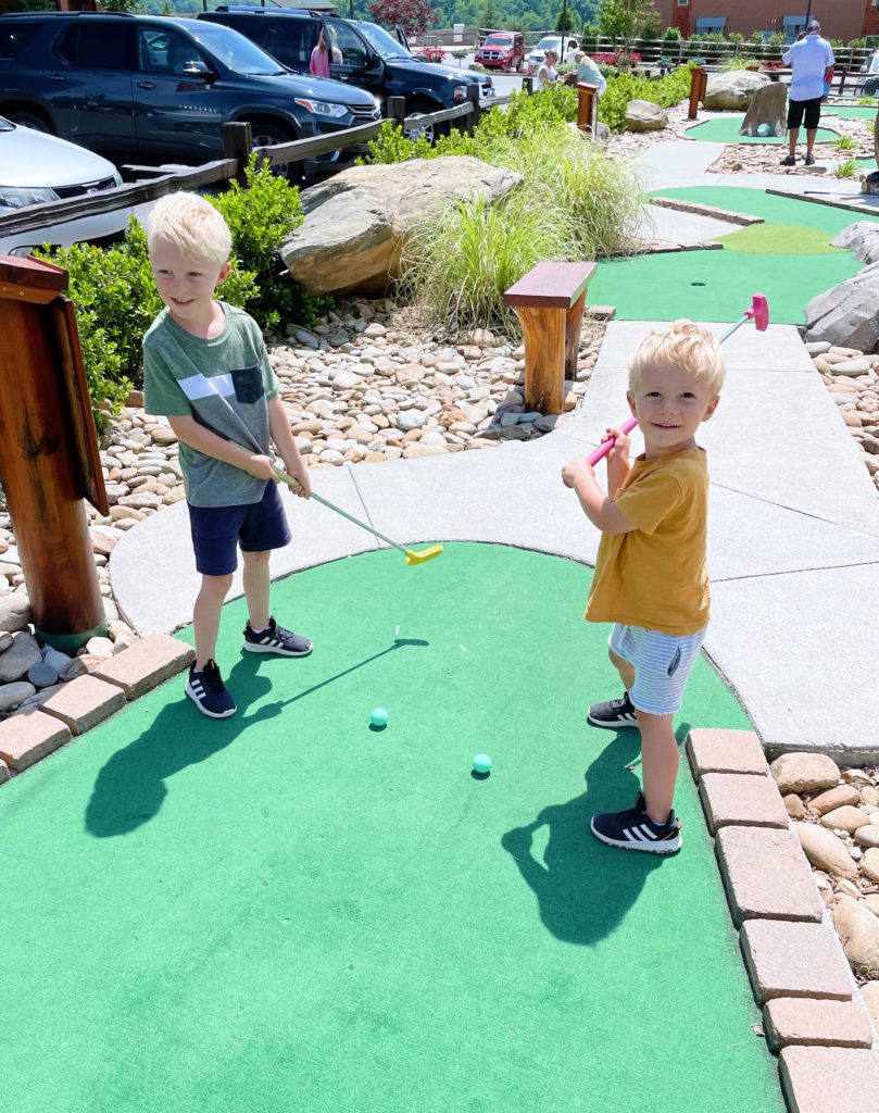 mini golf ryder chase 