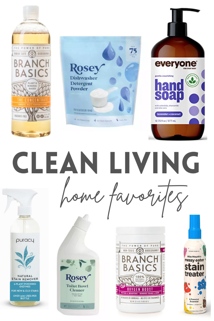 Favorite Cleaning Products for Your Home 