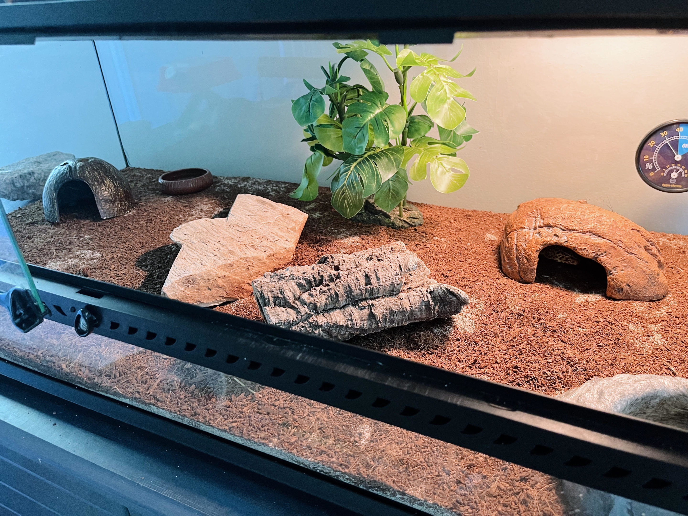 First time reptile owner so I thought I would start with house geckos, I'm  having a hard time with the humidity and heat. I can't get it to stay  perfect, it needs