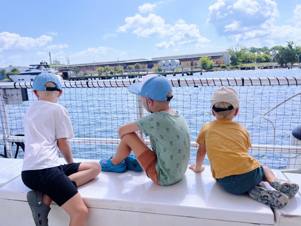 amelia island shrimp eco tour