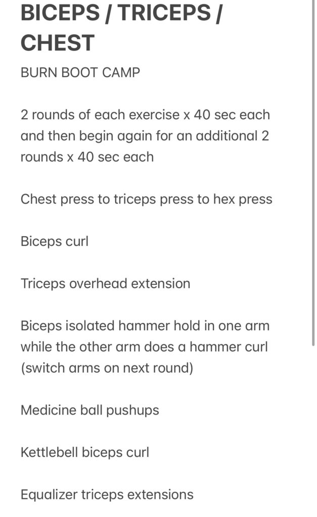 burn boot camp biceps triceps chest workout