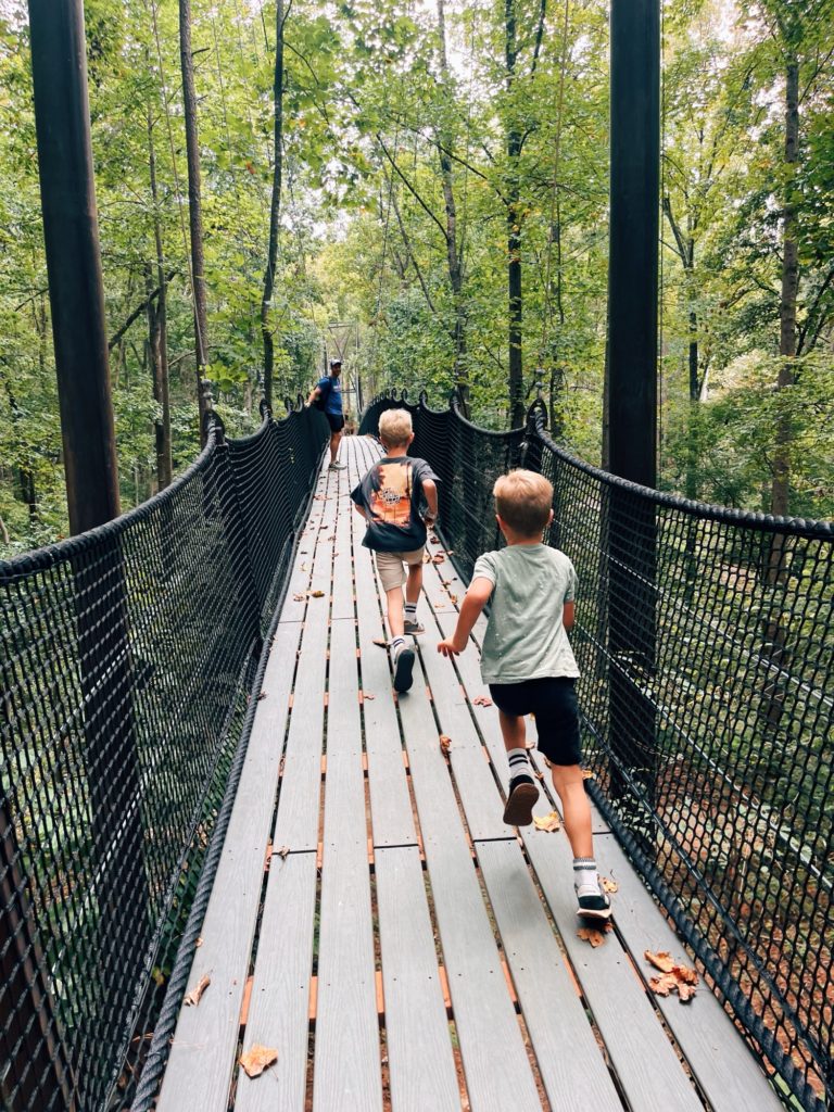 Whitewater Center