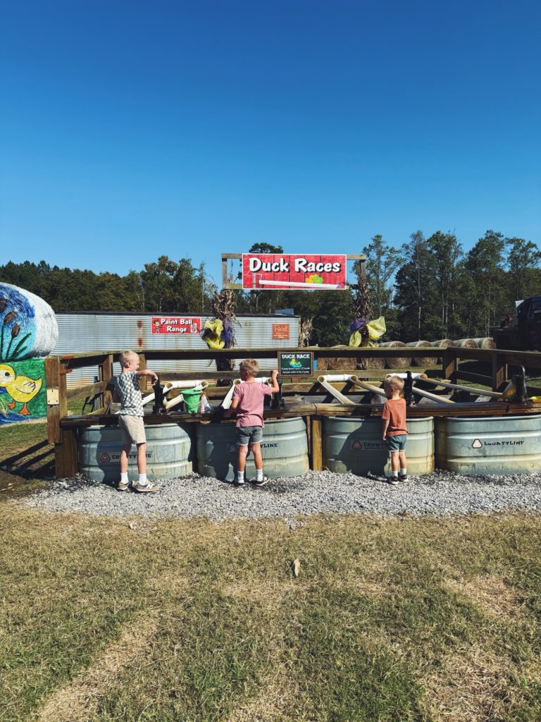 alpha & omega corn maze chase ryder rhett