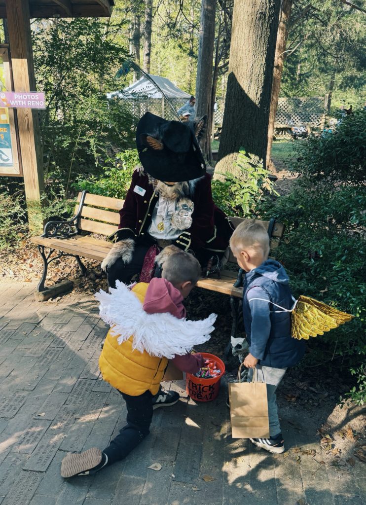 Owloween Carolina Raptor Center