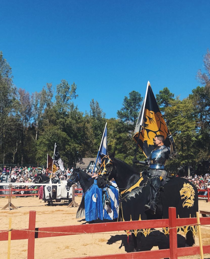 Renaissance Festival huntersville north carolina