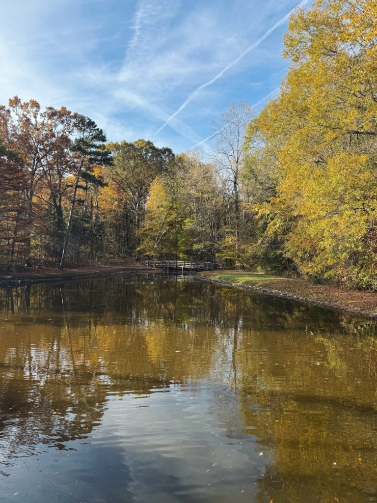 Dan Nicholas Park Campground