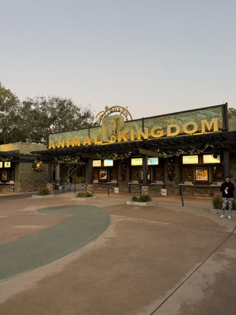 animal kingdom disney